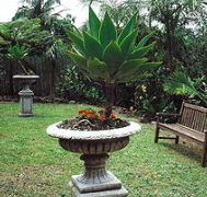 Bangalow Retreat - Accommodation VIC