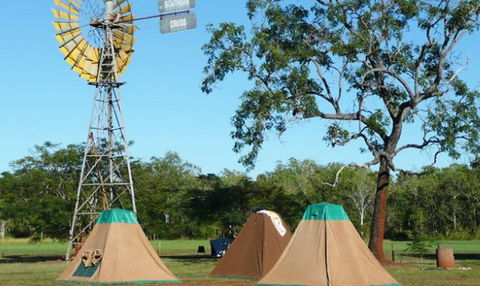 Litchfield Tourist Park - Accommodation VIC 2
