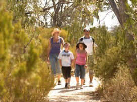 Long Island Caravan Park Cabins - Accommodation VIC 0