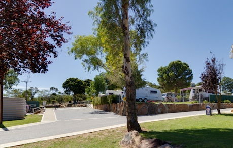 Avoca Dell Caravan Park - Accommodation VIC 0
