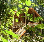 Rivers Edge Rainforest Retreat - Accommodation VIC