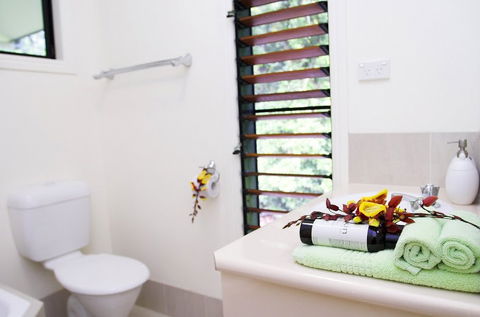 Misty Mountains Tropical Rainforest Romantic Retreat - Accommodation VIC 5