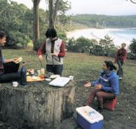 Fortescue Bay Camping Ground - Accommodation VIC
