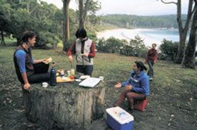 Fortescue Bay Camping Ground - Accommodation VIC 0