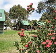 Derwent Bridge Chalets and Studios - Accommodation VIC