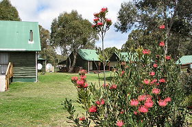 Derwent Bridge Chalets And Studios - Accommodation VIC 0