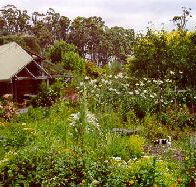 Plovers Ridge Country Retreat - Accommodation VIC