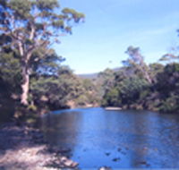 Douglas River Cabin - Accommodation VIC