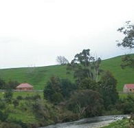 Tin Dragon Trail Cottages - Accommodation VIC