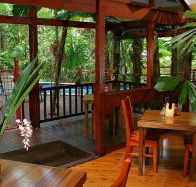 Daintree Wilderness Lodge - Accommodation VIC