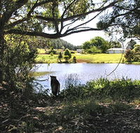 Newry Park Cottage - Accommodation VIC