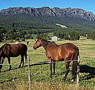 Hurlfield Farm Cottage - Accommodation VIC