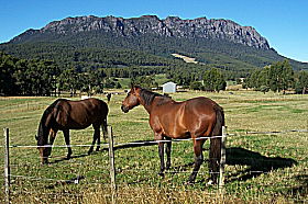 Hurlfield Farm Cottage - Accommodation VIC 0