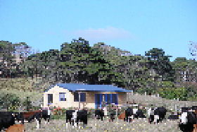 Marrawah TAS Accommodation VIC