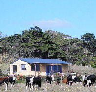 Marrawah Beach House - Accommodation VIC