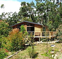 Southern Forest Accommodation - Accommodation VIC