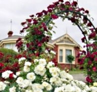 Golden Embers Apartments and B and B - Accommodation VIC