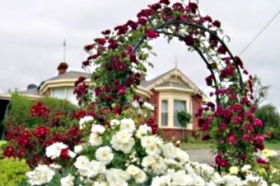 Golden Embers Apartments And B And B - Accommodation VIC 0