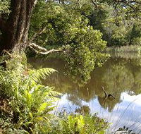 Weldborough Camping Ground - Accommodation VIC