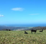 St Marys Seaview Farm - Accommodation VIC