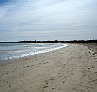 Greens Beach Caravan Park - Accommodation VIC