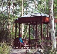 Telopea - Accommodation VIC