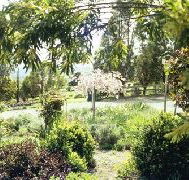 Cherry Park Estate - Accommodation VIC