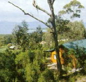 Partridge Farm - Accommodation VIC