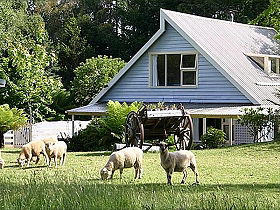 Hide-Away Cottage Retreat - Accommodation VIC 0