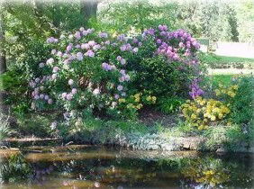 North East Restawhile Bed & Breakfast - Accommodation VIC 1
