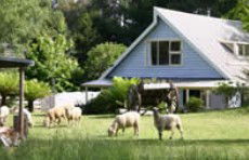 Hide-Away Cottage Retreat - Accommodation VIC 2