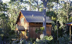 Cradle Mountain Highlanders - Accommodation VIC 1