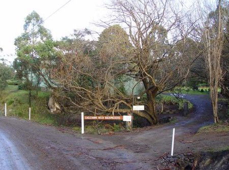 Eaglehawk Neck Backpackers - Accommodation VIC 1