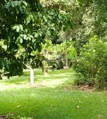 Julatten QLD Accommodation VIC