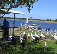 Mountain View Caravan and Mobile Home Village - Accommodation VIC