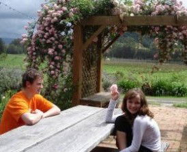 Back Forest Retreat - Accommodation VIC 1