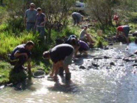 Bullock Mountain Homestead - Accommodation VIC 1