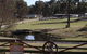 Bullock Mountain Homestead - thumb 4