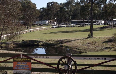 Bullock Mountain Homestead - Accommodation VIC 4