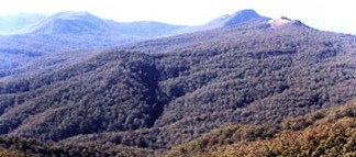 Callicoma Hill Eco-Cabins - Accommodation VIC 0