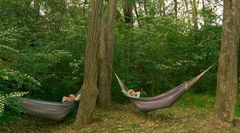 Bingle Tree Retreat - Accommodation VIC 1
