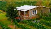 Borrodell Vineyard - Accommodation - Accommodation VIC 0