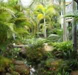 Chamomile Bed and Breakfast - Accommodation VIC
