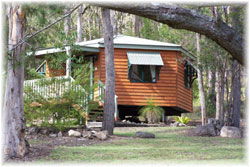 Queen Mary Falls Caravan Park And Cabins - Accommodation VIC 1
