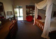 The Bearded Dragon Boutique Hotel - Accommodation VIC 3