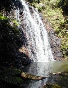 Beechmont QLD Accommodation VIC