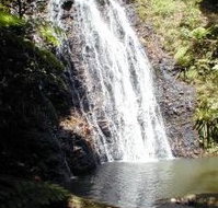 Binna Burra Mountain Lodge - Accommodation VIC
