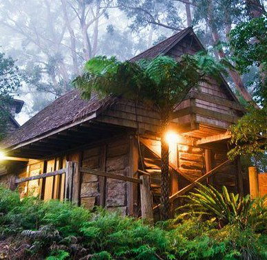Binna Burra Mountain Lodge - Accommodation VIC 2