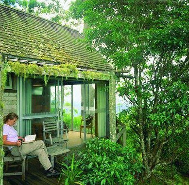 Binna Burra Mountain Lodge - Accommodation VIC 3