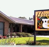 Begonia City Motor Inn - Accommodation VIC